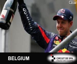 пазл Себастьян Феттель празднует свою победу в Гран Гран-при Бельгии 2013